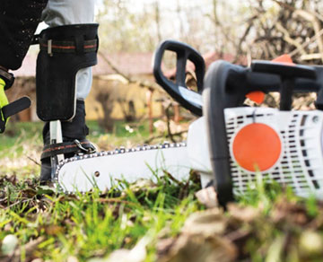 Abattage par démontage d’arbre réalisé par des professionnels