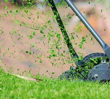 Tonte de pelouse adéquate par des experts en la matière